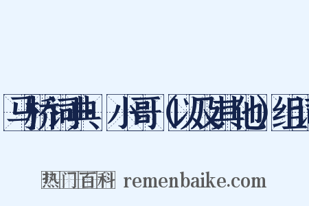 马桥词典·小哥（以及其他）组词是什么意思的图片